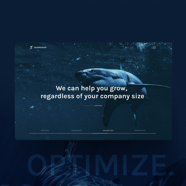 Sharkmind Website
